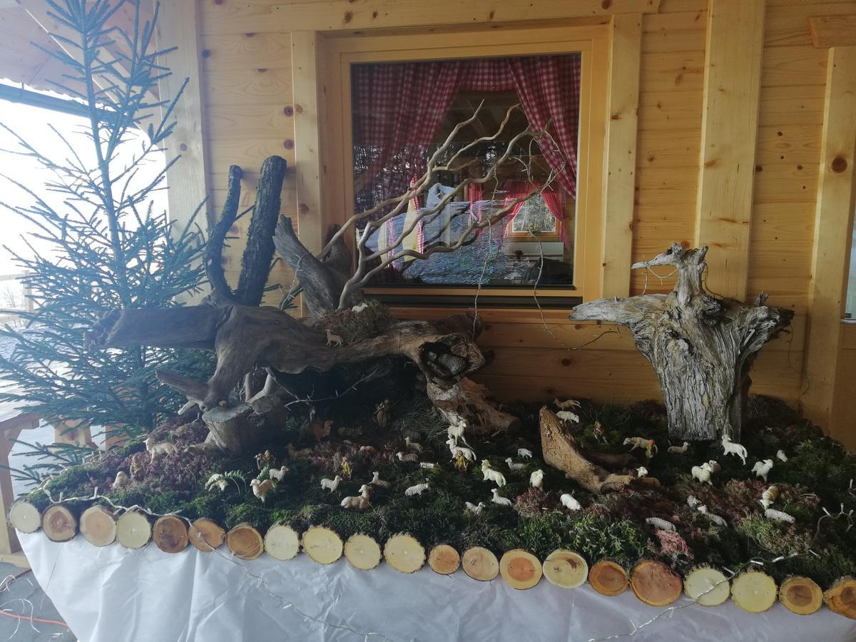 Koca Na Talezu Bed and Breakfast Ribno Buitenkant foto