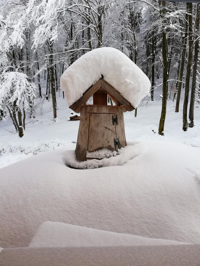 Koca Na Talezu Bed and Breakfast Ribno Buitenkant foto