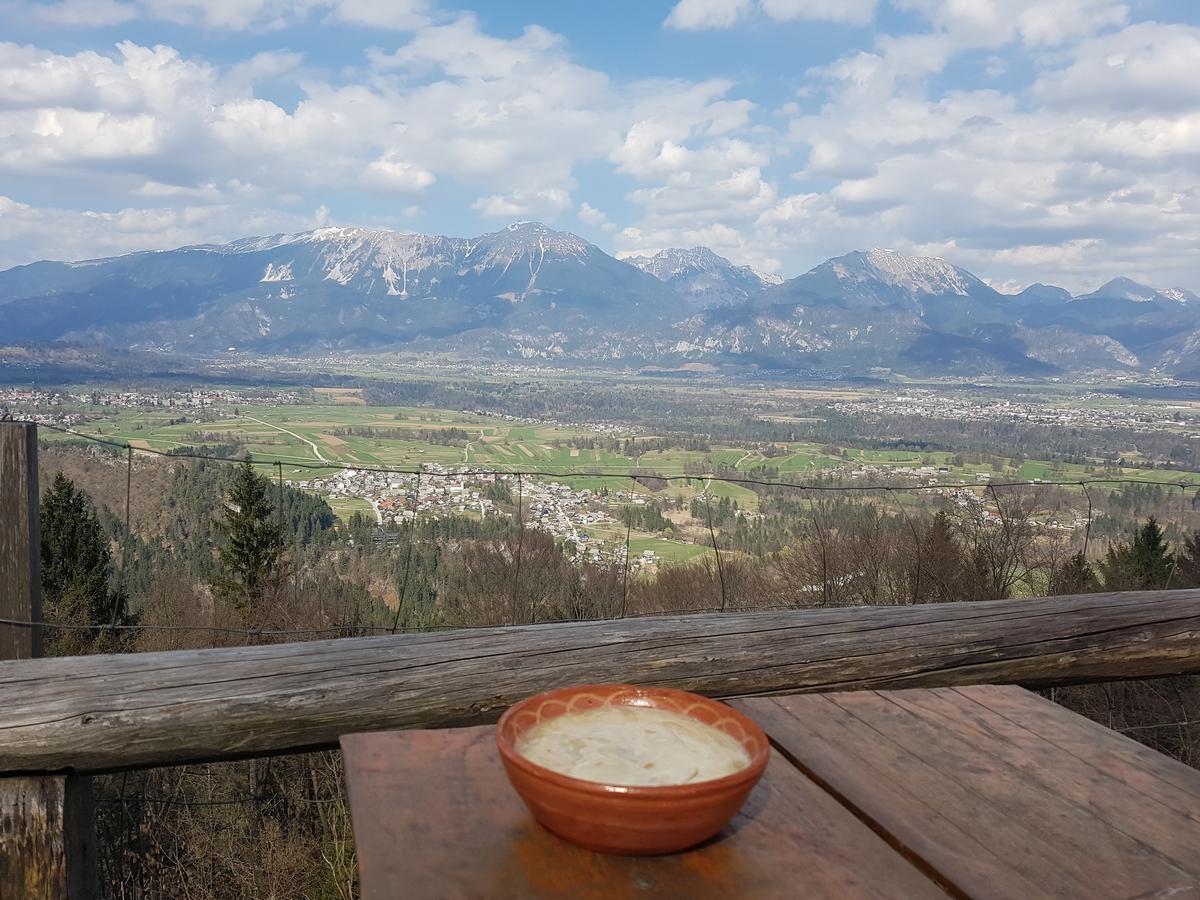 Koca Na Talezu Bed and Breakfast Ribno Buitenkant foto